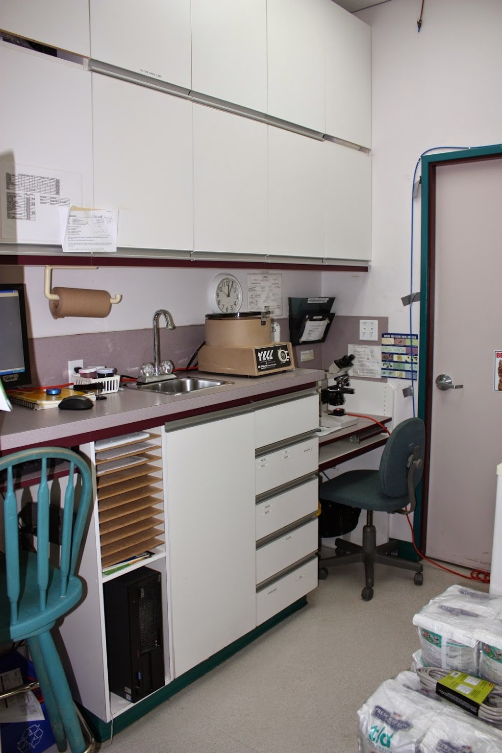 Calgary Cat Clinic | 2116 Crowchild Trail NW, Calgary, AB T2M 3Y7, Canada | Phone: (403) 289-9999