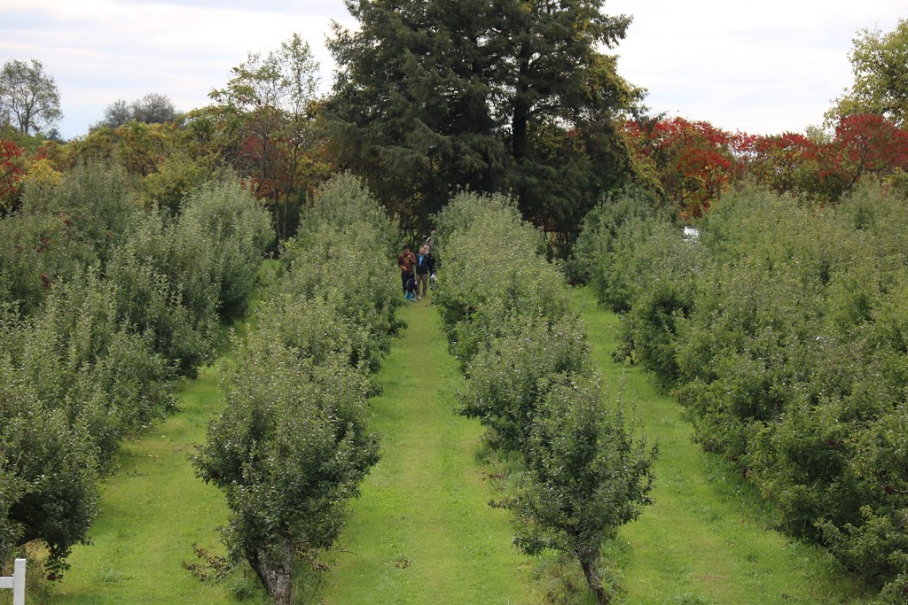 JC Agri Orchards | 3105 16th Sideroad, King City, ON L7B 1A3, Canada | Phone: (705) 817-0943