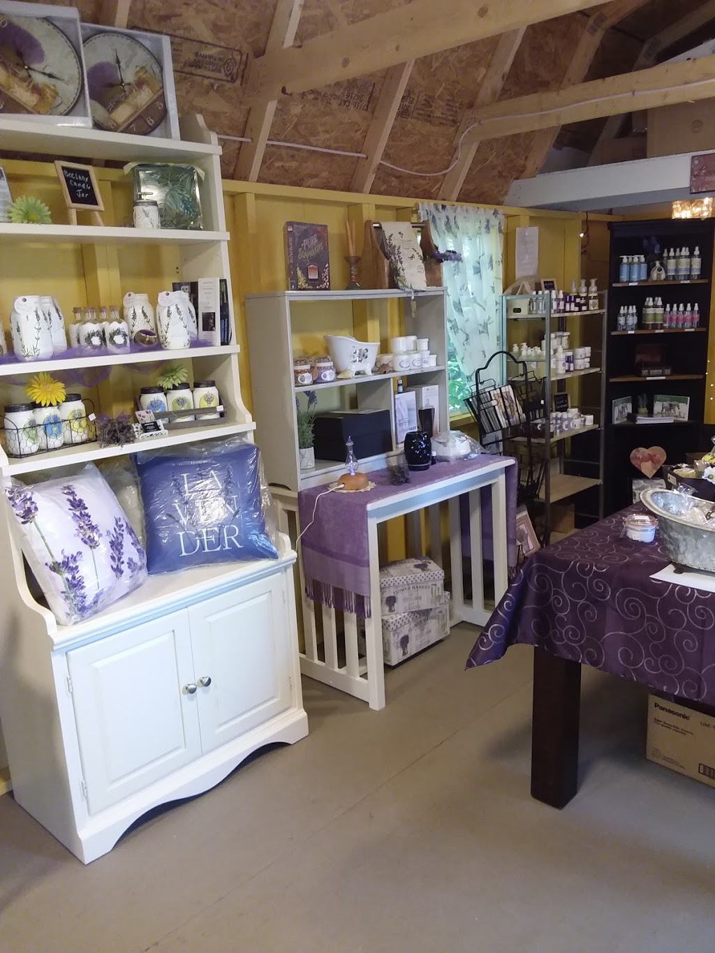 Rocky Meadows Lavender | 2295 County Rd 38, Indian River, ON K0L 2B0, Canada | Phone: (905) 429-0528