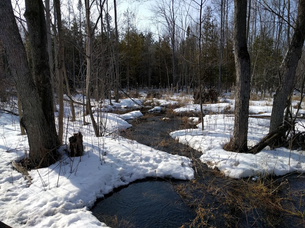Beaver Trail | Moodie Dr, Nepean, ON K2R 1H8, Canada