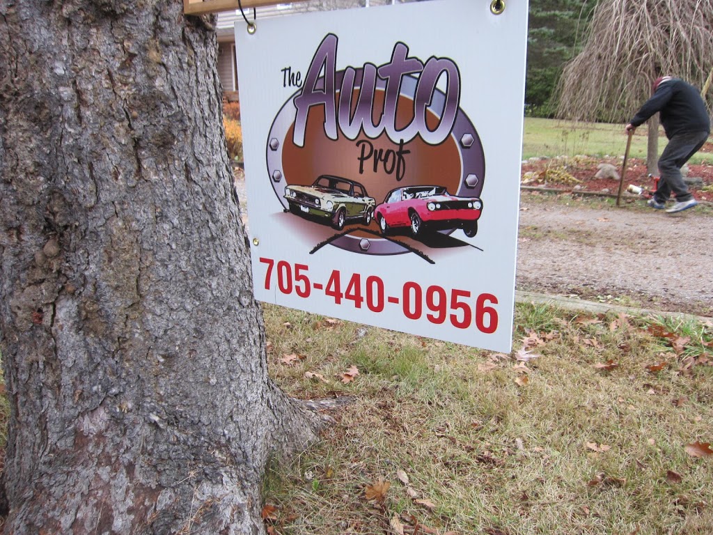 The Auto Prof | 8th Line, Egbert, ON L0L 1N0, Canada | Phone: (705) 440-0956