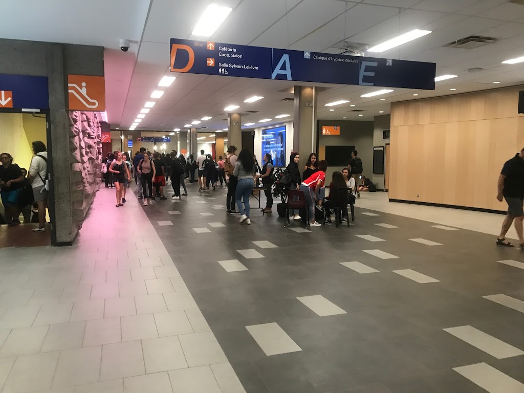 Collège de Maisonneuve | 2030 Pie-IX Blvd #430, Montreal, QC H1V 2C8, Canada | Phone: (514) 254-7131