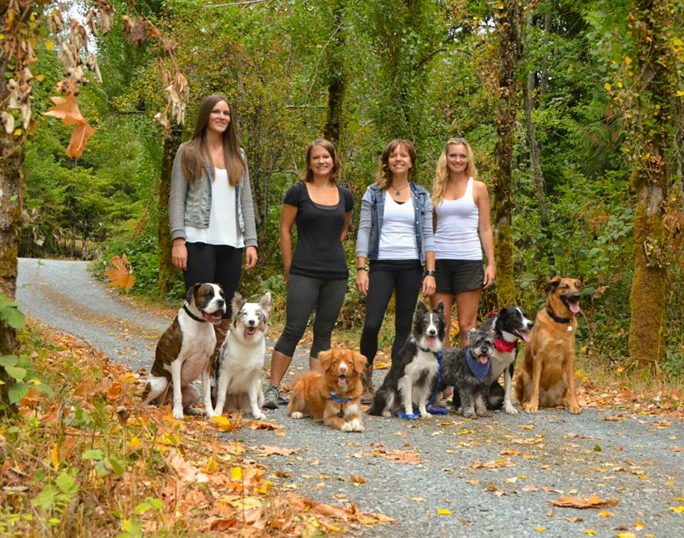 Best Paw Forward Dog Training | 1680 Northfield Rd, Nanaimo, BC V9S 3A9, Canada | Phone: (250) 729-3900