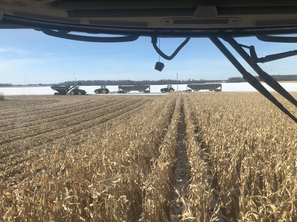 Paul V. Dietrich Farms | 34858 Saintsbury Line, Lucan, ON N0M 2J0, Canada | Phone: (519) 281-7130