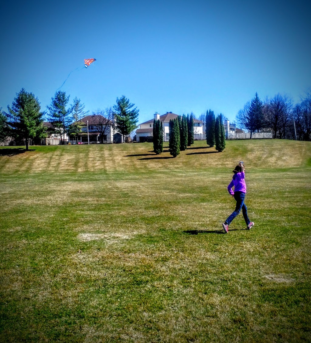 Apollo Crater Park | 600 Apollo Way, Orléans, ON K4A 1V2, Canada | Phone: (613) 580-2595