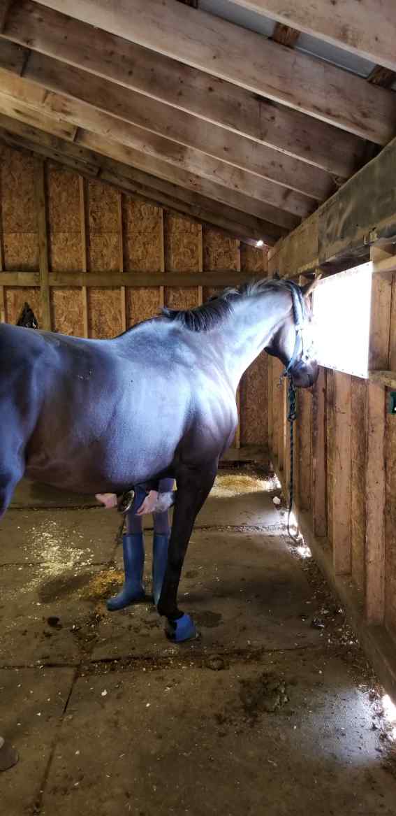 FRASER FIELD FARMS | 7661 Franktown Rd, Richmond, ON K0A 2Z0, Canada | Phone: (613) 229-0319