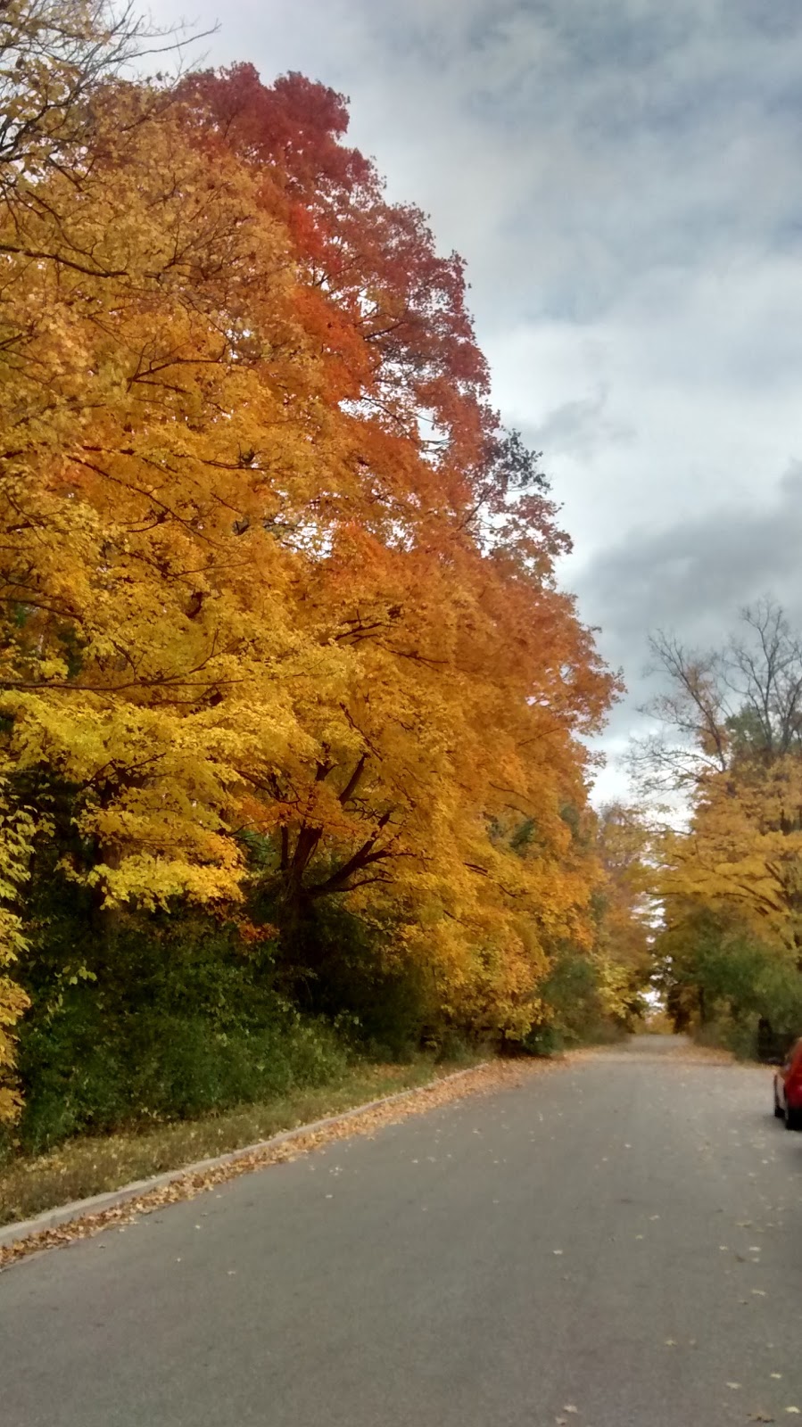 Hiking Trail Entrance | 8000 Conservation Rd #7732, Guelph, ON N1H 6J1, Canada