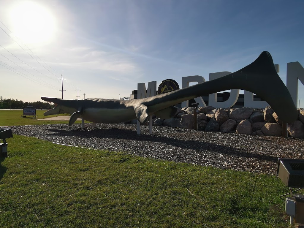 Bruce The Mosasaur | Morden, MB R6M 1P4, Canada | Phone: (204) 822-4434