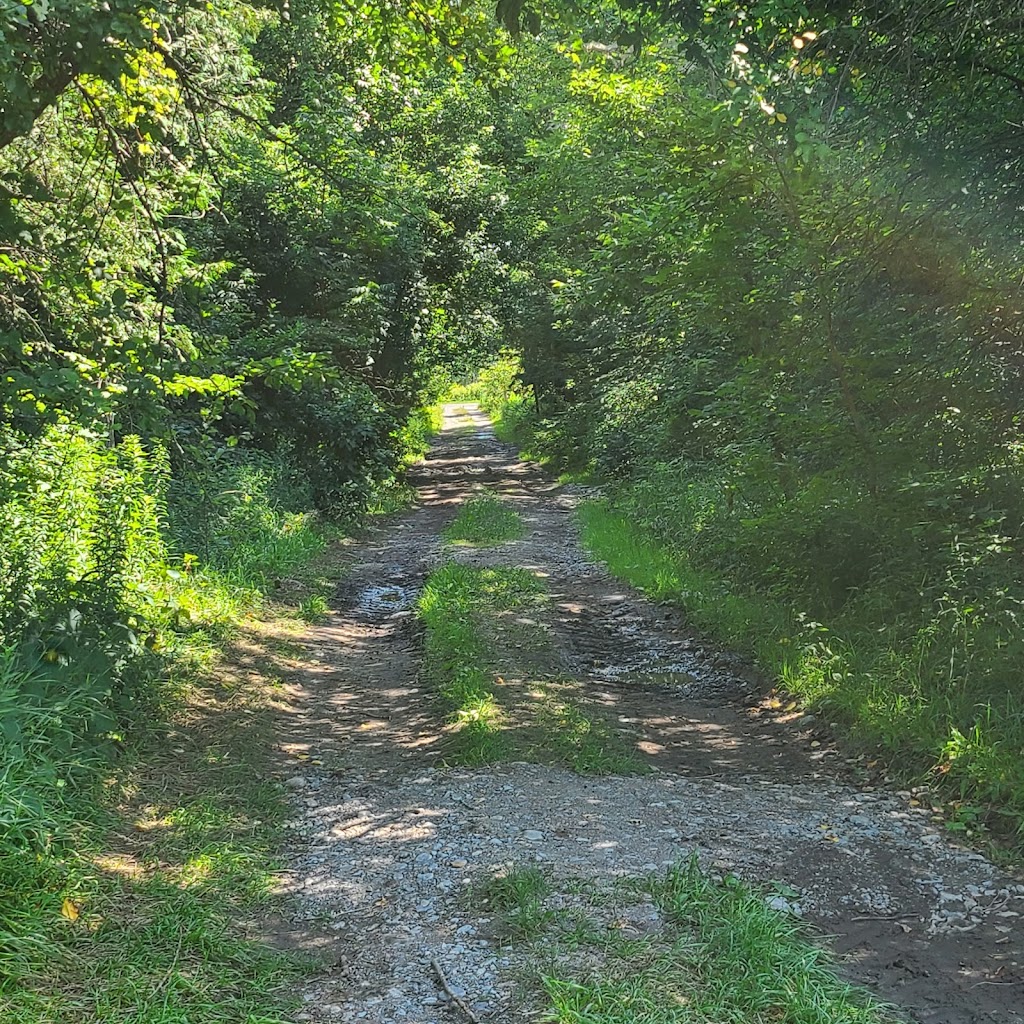 Tipsy Willow Farm | 2280 Blezard Line, Indian River, ON K0L 2B0, Canada | Phone: (613) 922-1606