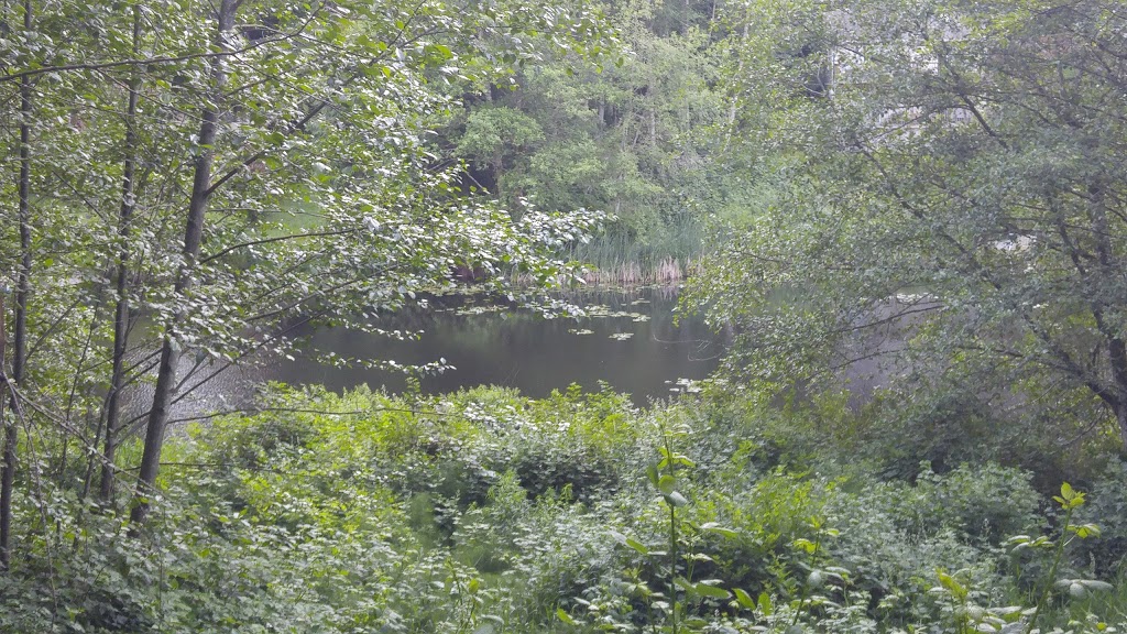 Treasure Island | Reed Lake, Sedro-Woolley, WA 98284, USA