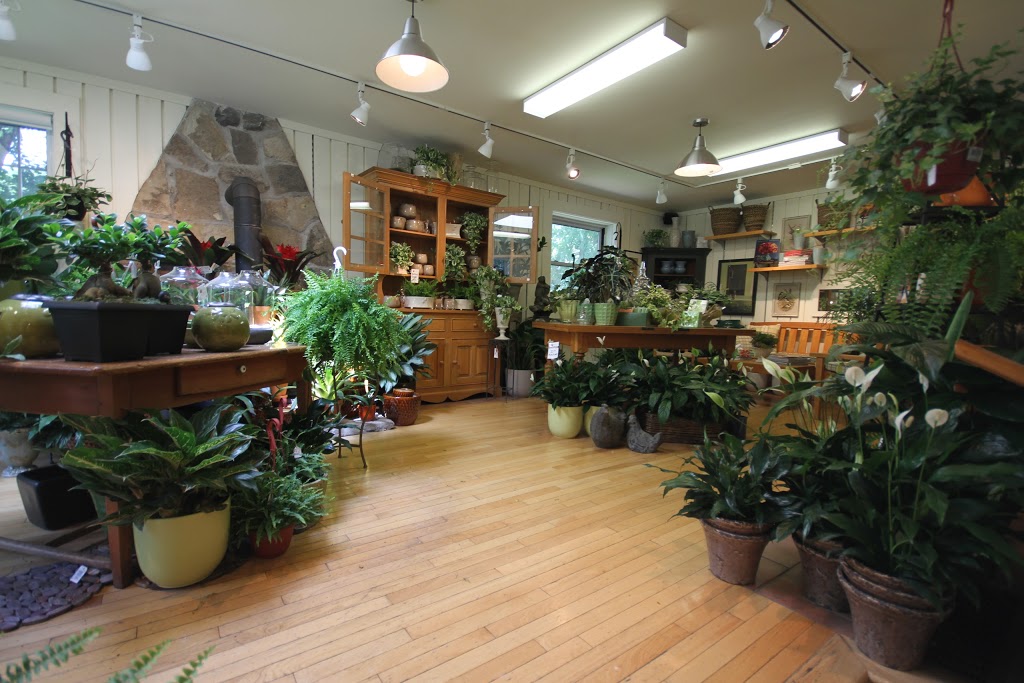 Westmount florist | 343 Chemin du Bord-du-Lac, Pointe-Claire, QC H9S 4L8, Canada | Phone: (514) 697-5858