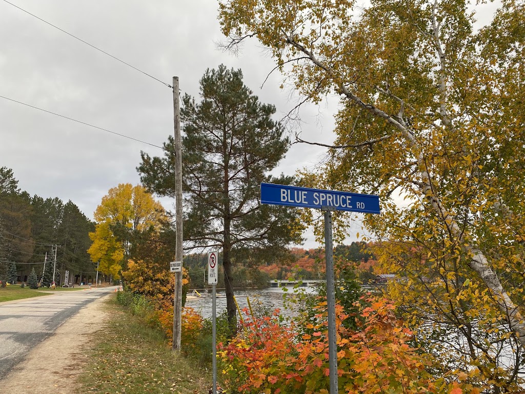 Blue Spruce Resort | 4308 ON-60, Dwight, ON P0A 1H0, Canada | Phone: (705) 635-2330