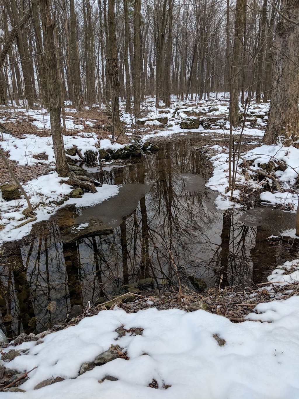 King Rd Bruce trail Access | 1918-1924 King Rd, Waterdown, ON L0R 2H1, Canada