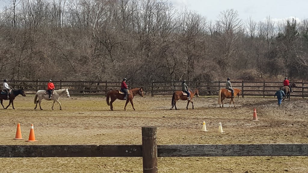 Rocky Ridge Ranch | 10486 2K0, Fifth Line Nassagaweya, Rockwood, ON L9T 2X7, Canada | Phone: (905) 854-2584