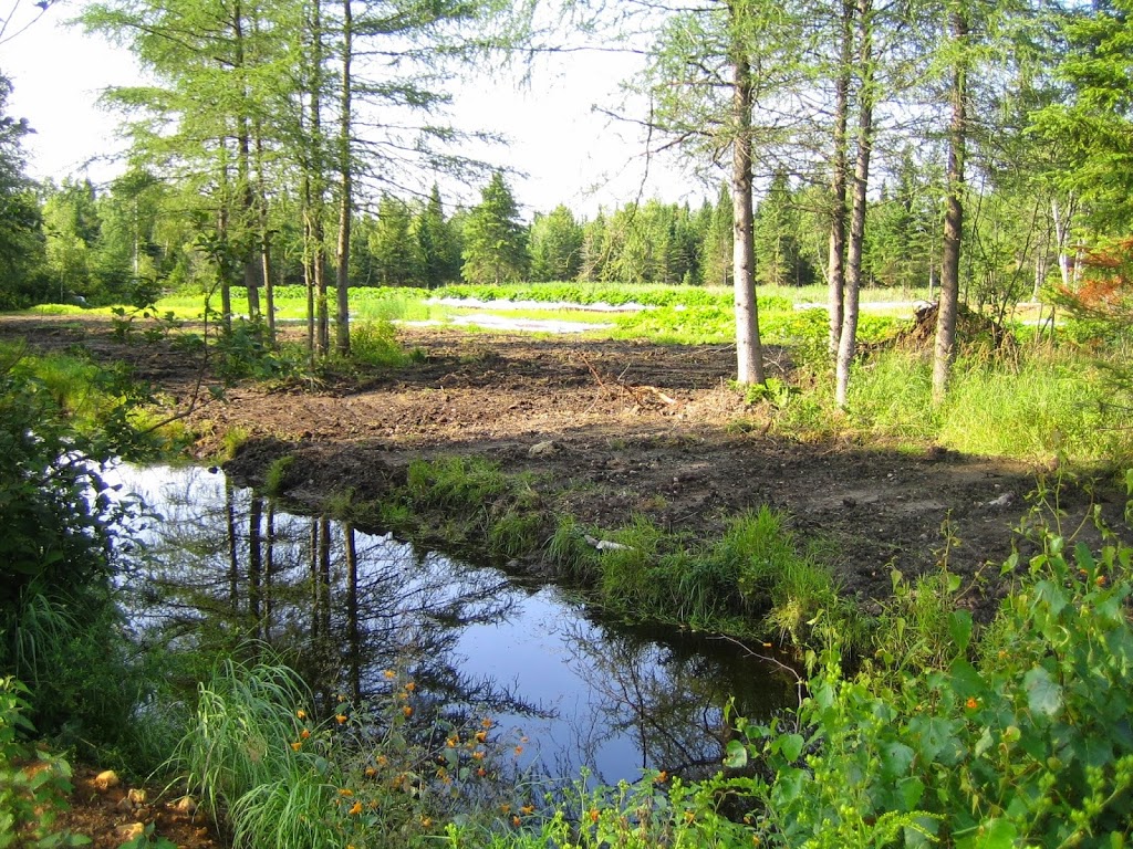 FERME DES LIBELLULES | 100 Chemin Forsight, Saint-Didace, QC J0K 2G0, Canada | Phone: (450) 803-8500