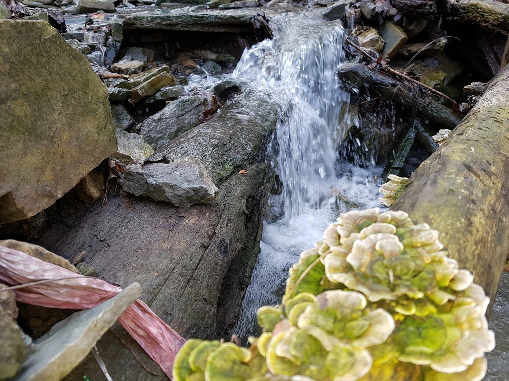 Chedoke Radial Recreational Trail | 120 Beddoe Dr, Hamilton, ON L8P 4Z4, Canada | Phone: (905) 546-3116