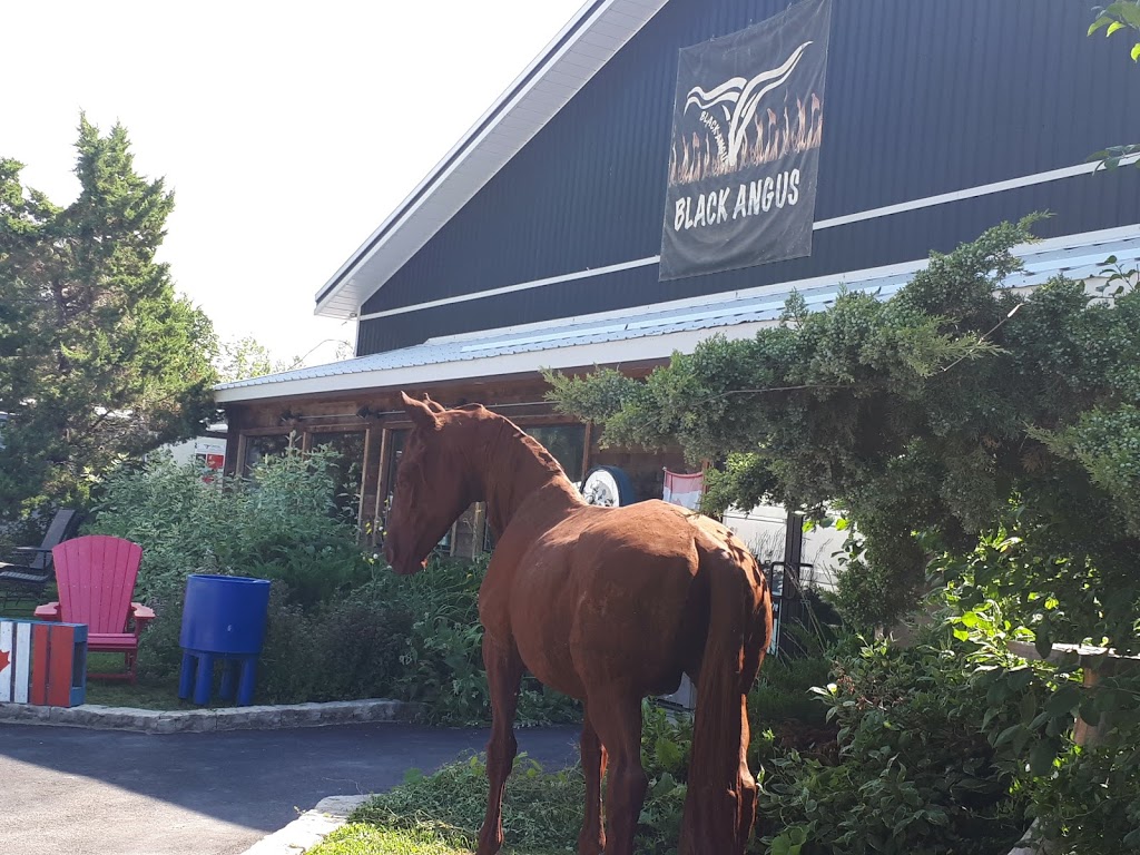 Black Angus Fine Meats And Game | 207484 ON-26, Thornbury, ON N0H 2P0, Canada | Phone: (519) 599-2334