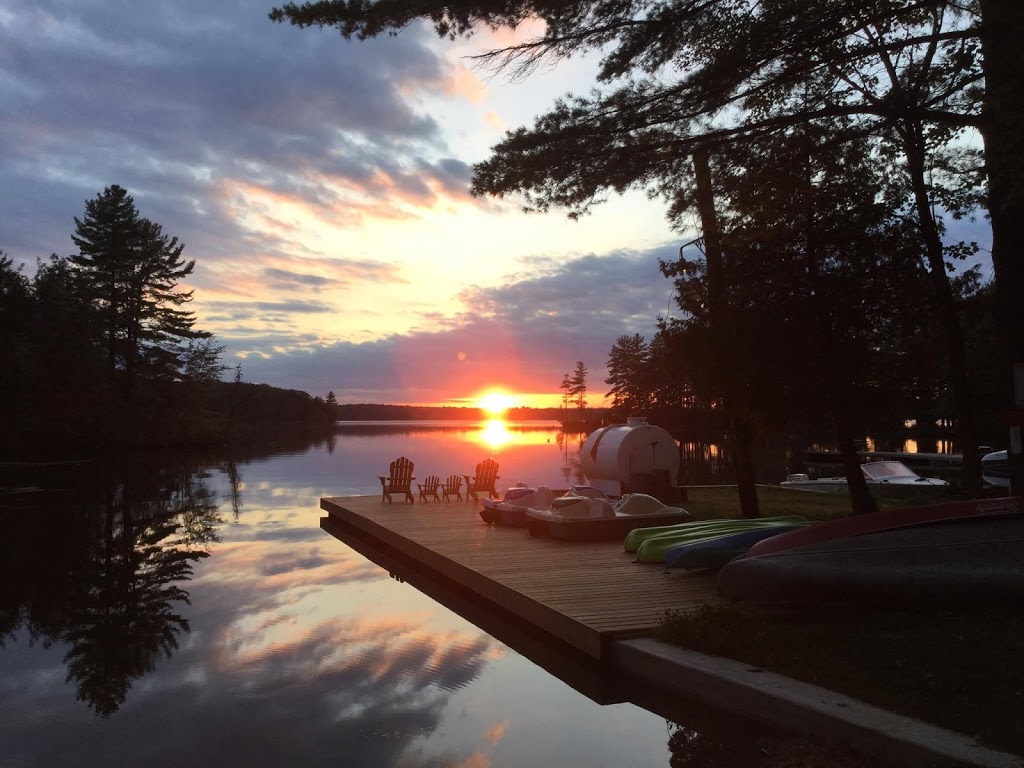 Cuddys Pine Cove | 1509 Gull Lake Ln, North Frontenac, ON K0H 1B0, Canada | Phone: (613) 336-8135