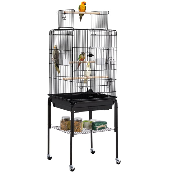 Fennec Pets Canada | 419 Markham Rd UNIT 408, Toronto, ON M1J 3E1, Canada | Phone: (437) 993-4180