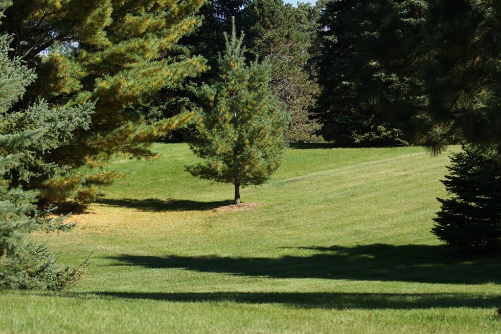 Simcoe Curb Appeal Property Services | 45 Pepler Place, Barrie, Ontario L4N 5W5, Barrie, ON L4N 5E3, Canada | Phone: (705) 241-0354