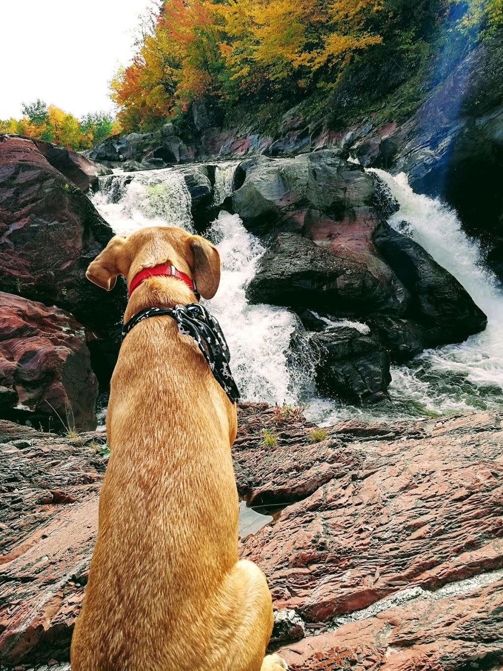 Parc des Chutes-Rouillard | 1170 Route Bégin, Saint-Anselme, QC G0R 2N0, Canada | Phone: (418) 885-9360