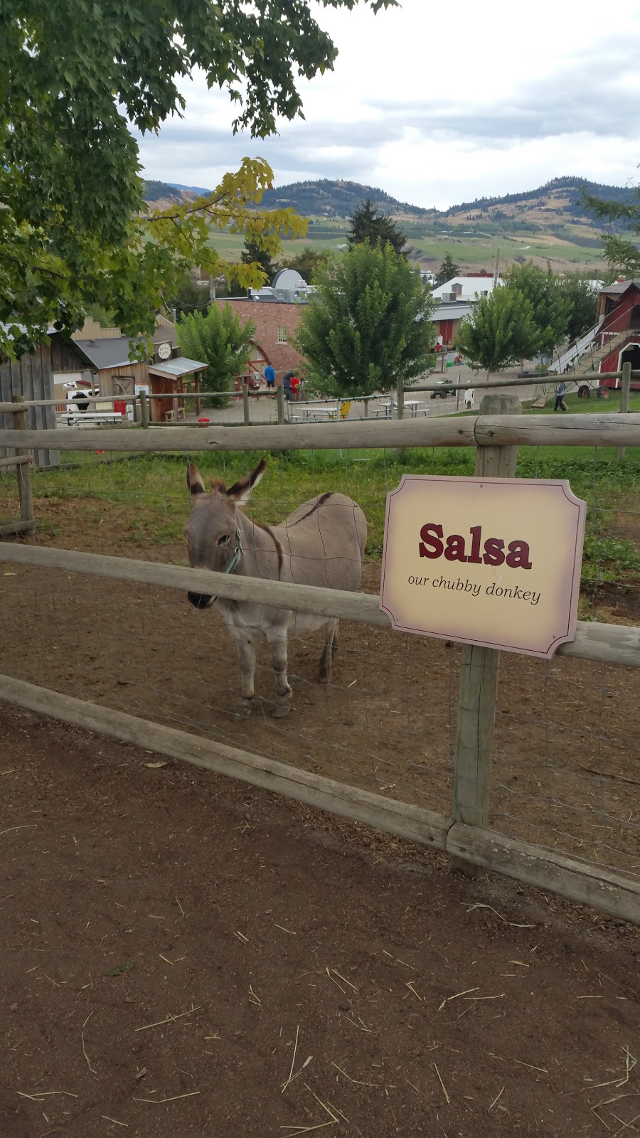 Bella Vista Farm Market | 5011 Bella Vista Rd, Vernon, BC V1H 1A1, Canada | Phone: (250) 545-0105