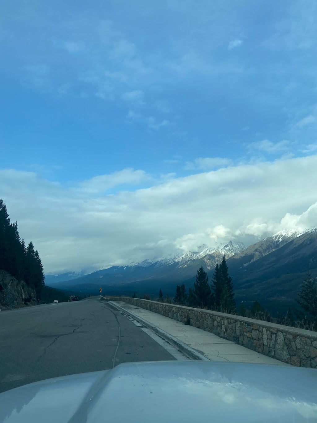 Ridgeview stables and Hauling | 11860 Ladner Trunk Rd, Delta, BC V4E 1A6, Canada | Phone: (778) 837-3038