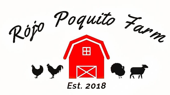 Rojo Poquito Farm | 53212 Range Rd 61, Parkland County, AB T0E 2B0, Canada | Phone: (780) 953-1423