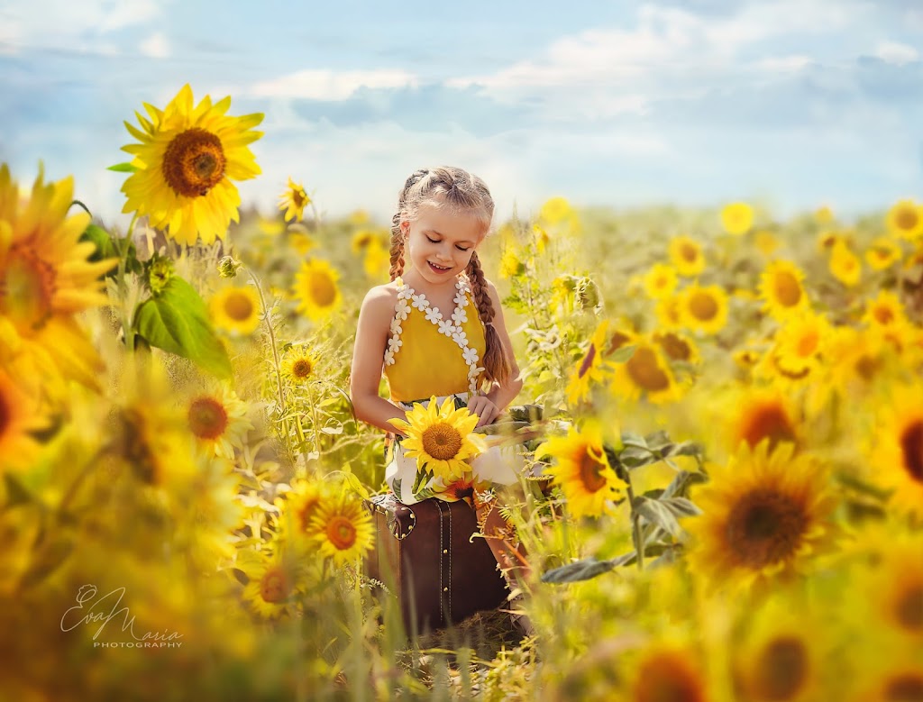 EvaMaria Photography | 5550 Av. Trent, Côte Saint-Luc, QC H4W 2B9, Canada | Phone: (514) 699-6005
