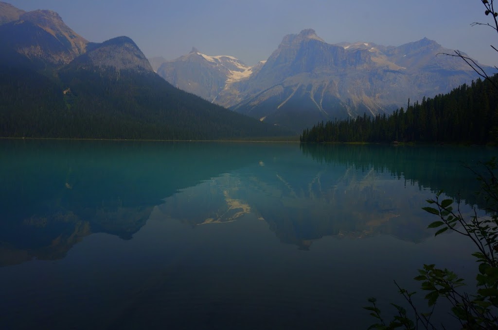 Blue Dog Cafe | 1213 7th Ave, Invermere, BC V0A 1K0, Canada | Phone: (250) 342-3814