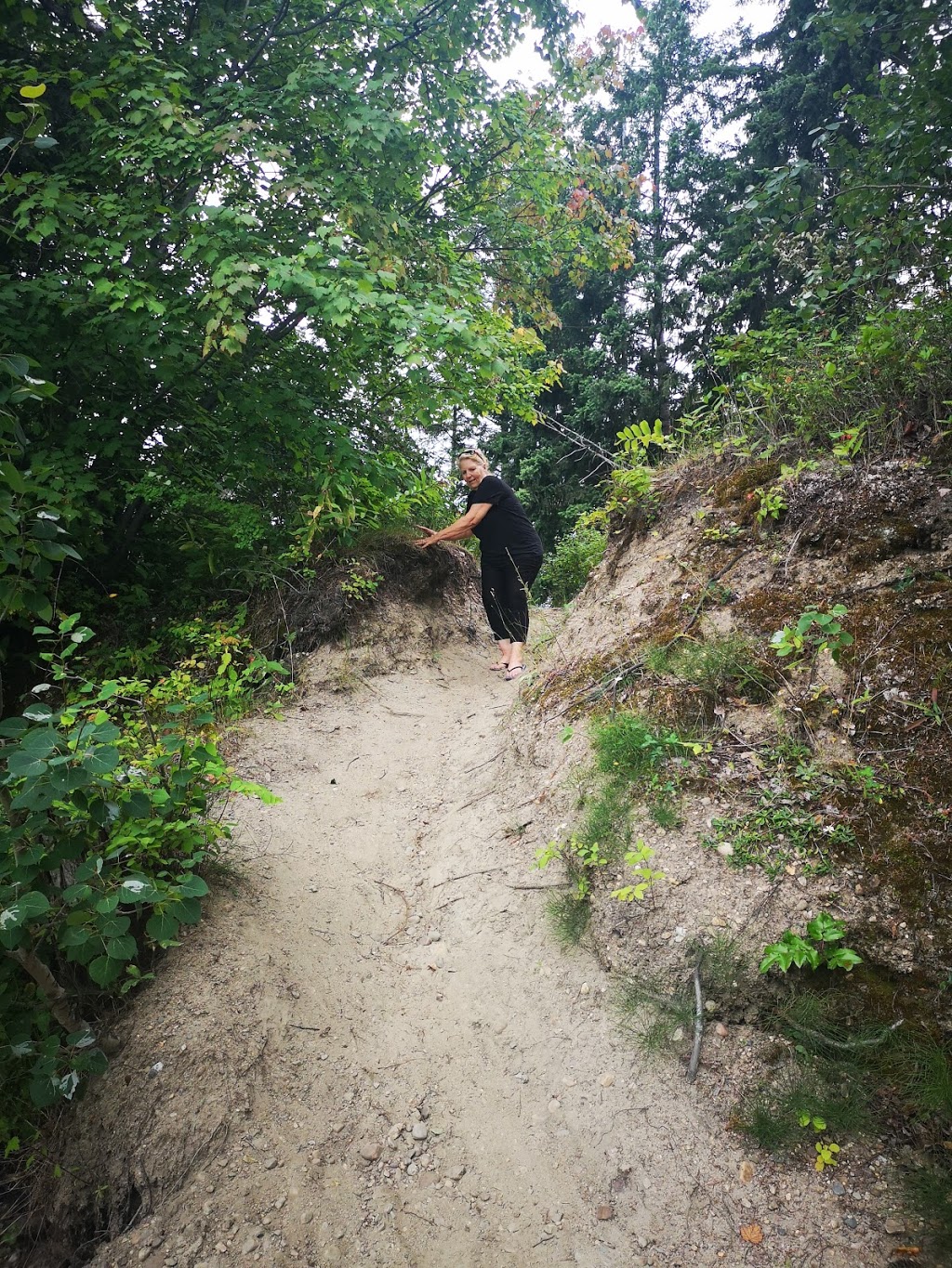 Park Hill Trail System | 6699 Parkhill Rd NE, Salmon Arm, BC V1E 2A9, Canada | Phone: (250) 804-1964