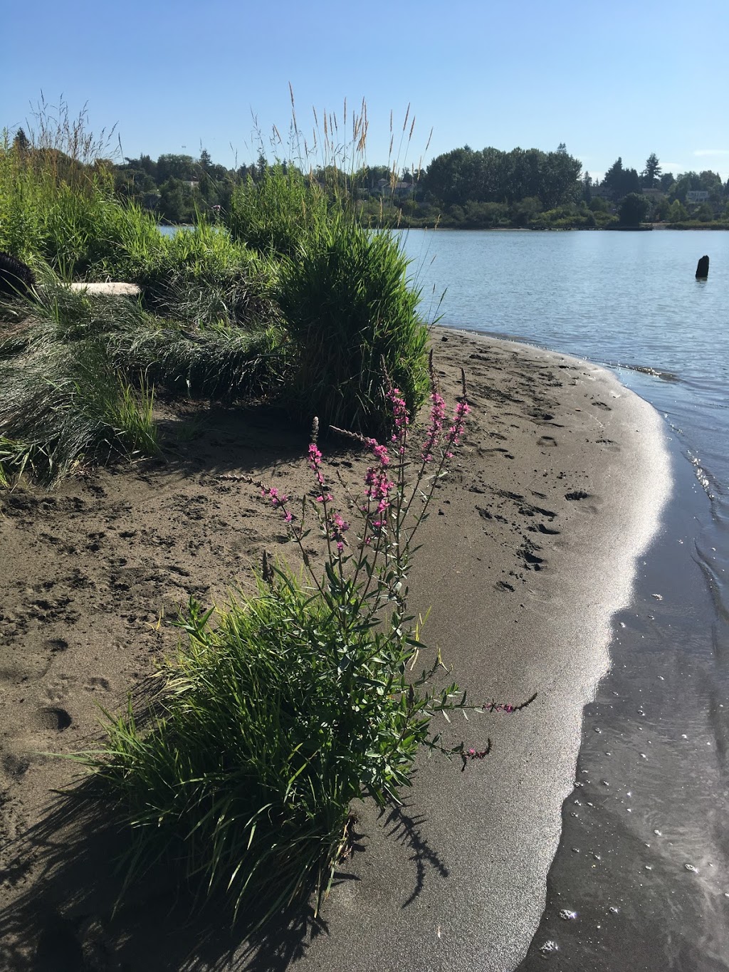 Pirates Cove / McDonald Beach | Richmond, BC, Canada