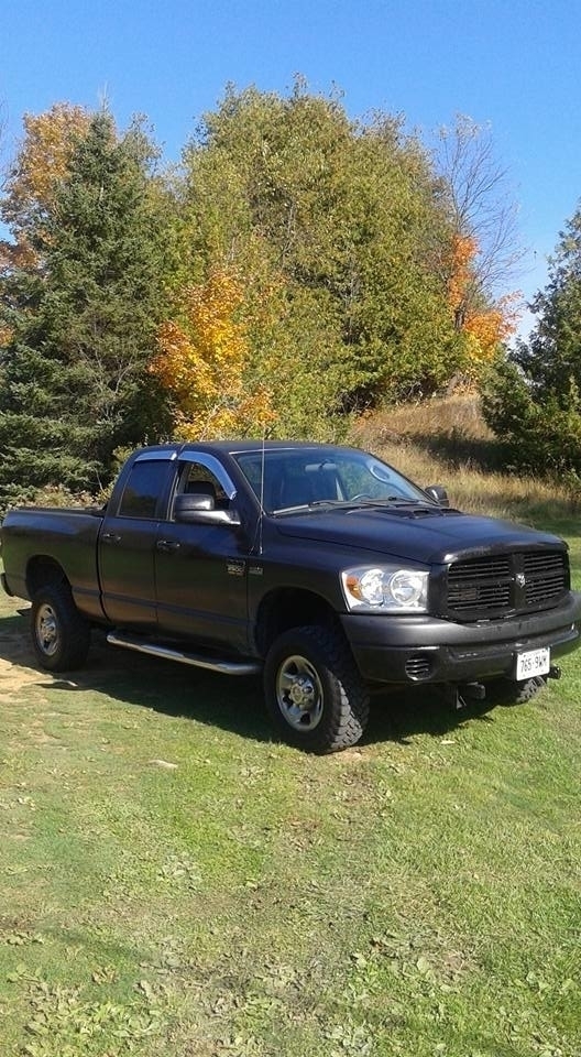 Molloys Property Maintenance | 6880 Hwy 620, WOLL, ON K0L 1P0, Canada | Phone: (613) 337-5745