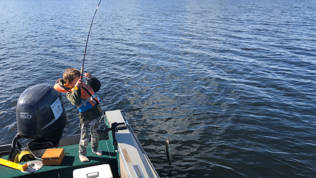 Larrys Baits | 4795 HWY 11-17, Kakabeka Falls, ON P0T 1W0, Canada | Phone: (807) 473-9321