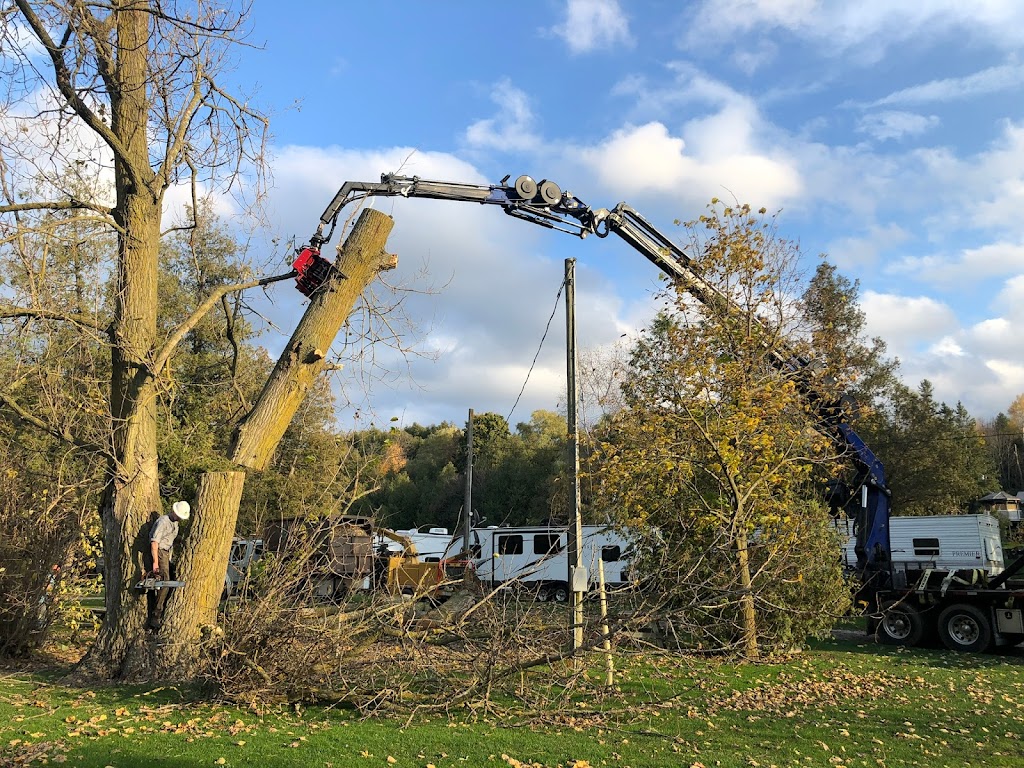 Florapine Tree Service Inc. | 8768 ON-6, Arthur, ON N0G 1A0, Canada | Phone: (519) 848-5889