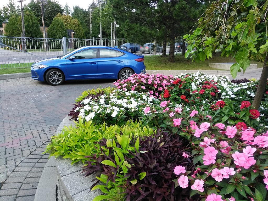 Don Mills Trail | 813 Lawrence Ave E, Toronto, ON M3C, Canada