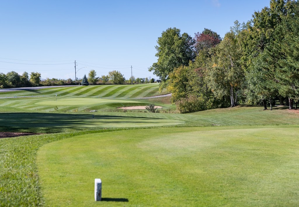 Klodan Golf Carts Sales & Rentals | 844 Aurele Rd, Casselman, ON K0A 1M0, Canada | Phone: (613) 325-7608