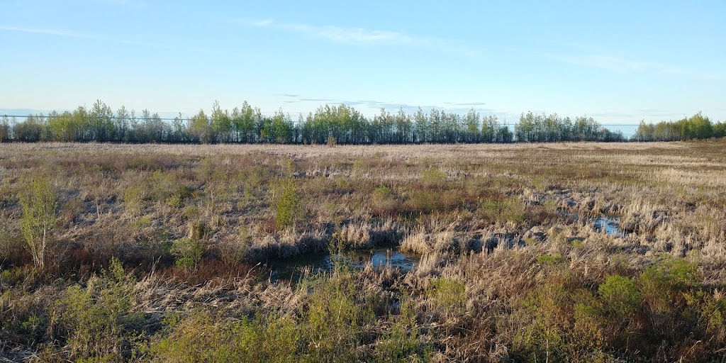 Tourbière de Saint-Prime | Chem. de lÎle des Saules, Saint-Prime, QC G8J 1W2, Canada | Phone: (581) 719-1212