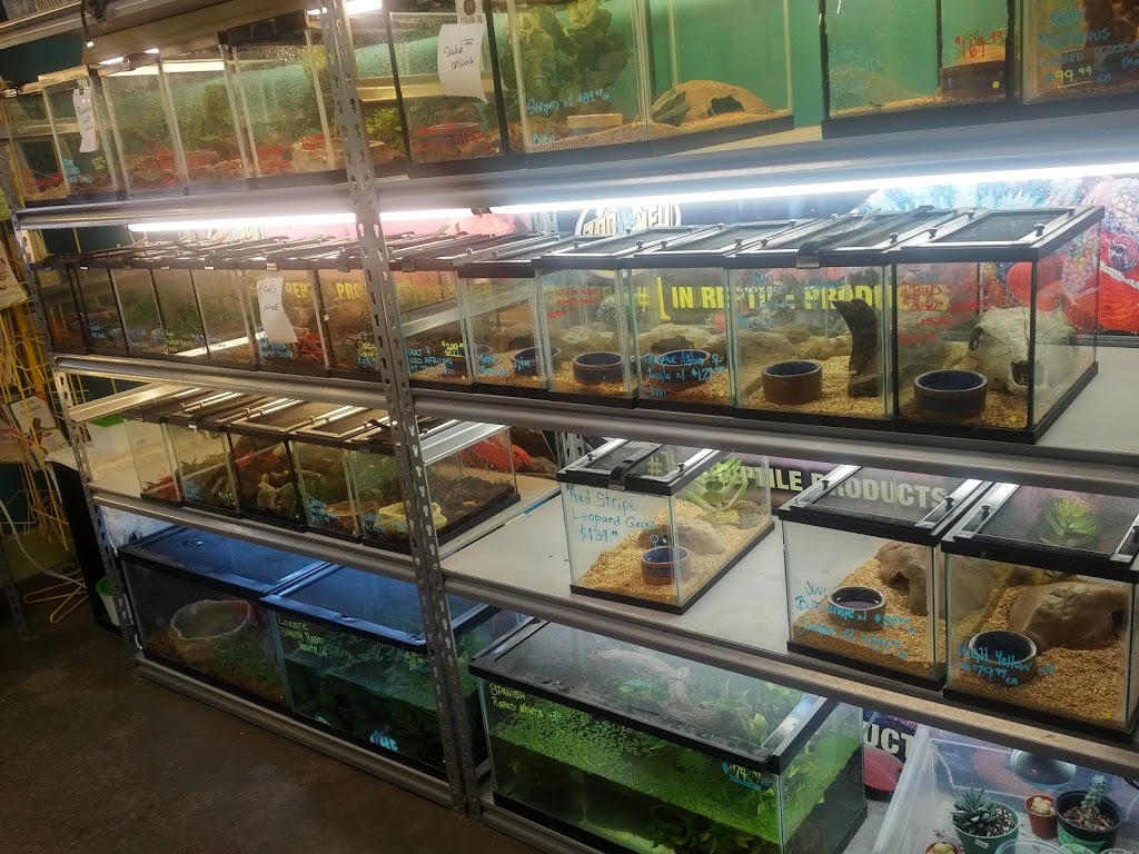 All Reptiles | 99-1911 Kennedy Rd, Scarborough, ON M1P 2L9, Canada | Phone: (647) 343-0669