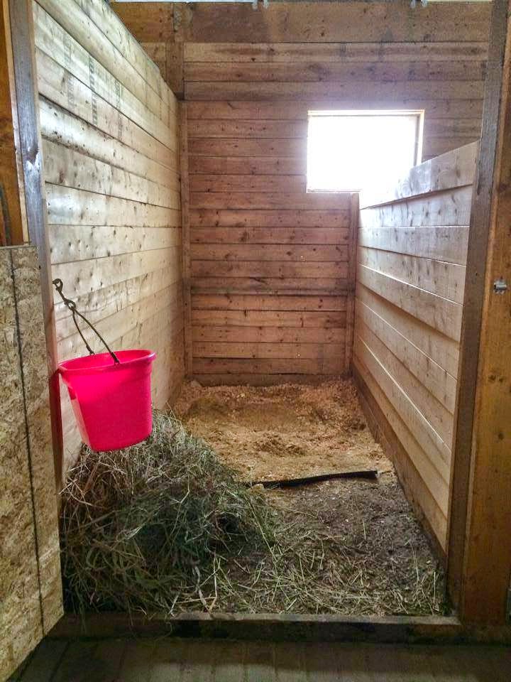 Belle Wood Equestrian Centre | 2745 Concession Rd 6, Greenwood, ON L0H 1H0, Canada | Phone: (905) 995-3109