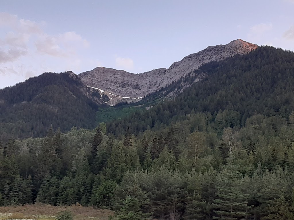 Birch Meadows Lodge B&B | 4485 BC-3, Fernie, BC V0B 1M1, Canada | Phone: (250) 423-4236