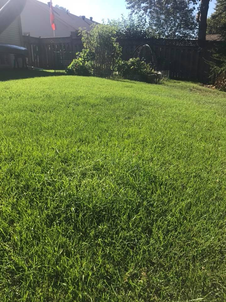 Seymours Lawn Care | Gill St, Coldwater, ON L0K 1E0, Canada | Phone: (705) 718-3426