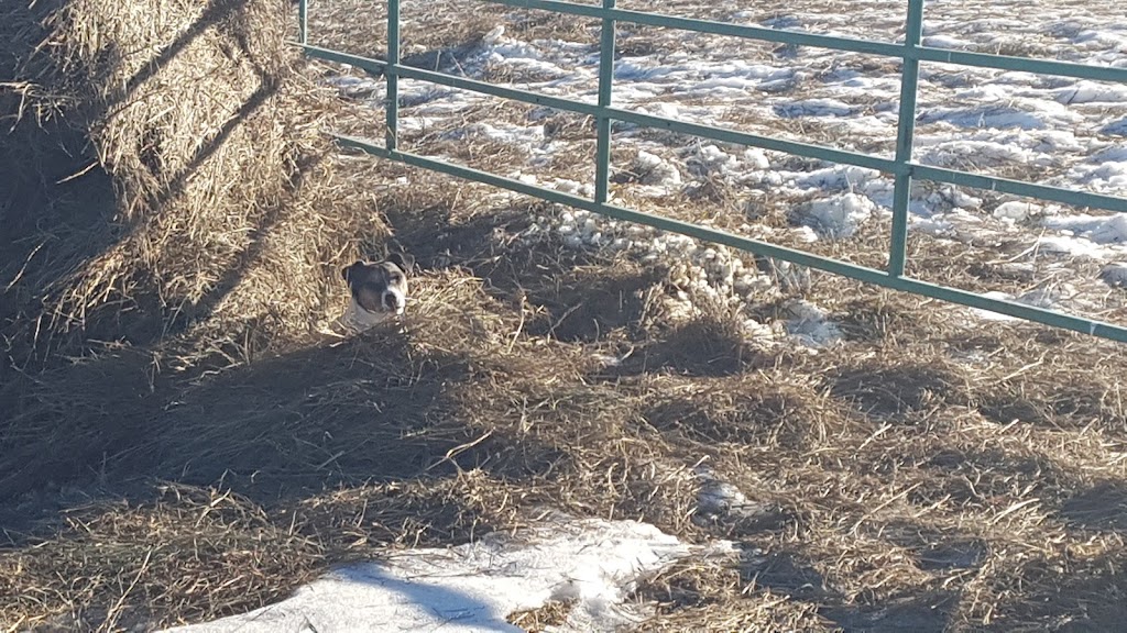 Legends Ranch | Kneehill County, AB T0M 2B0, Canada | Phone: (403) 507-0436