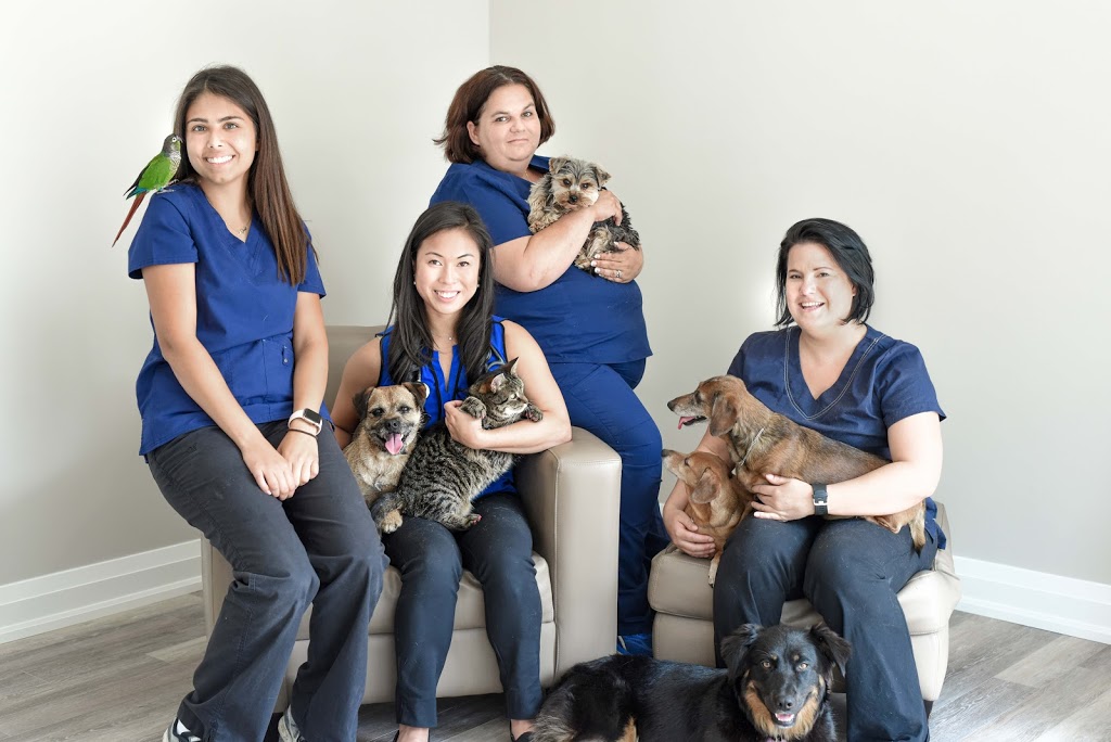 Mac Animal Clinic | 1026 Speers Rd, Oakville, ON L6L 2X4, Canada | Phone: (905) 844-6786