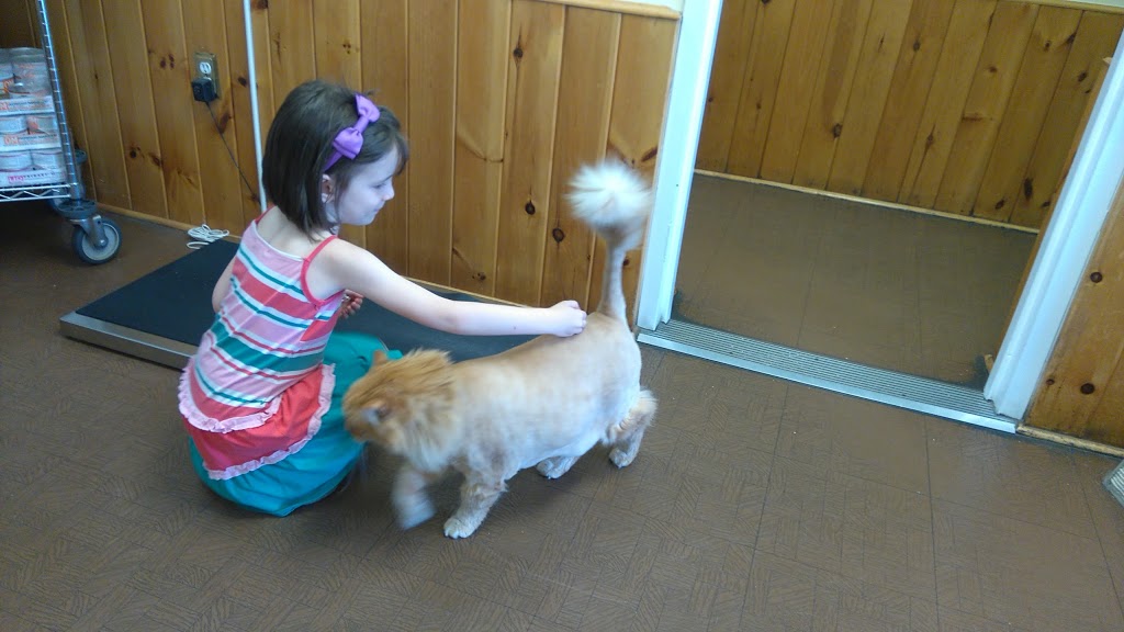 Bridletowne Warden Animal Hospital | 2261 Warden Ave, Scarborough, ON M1T 1V5, Canada | Phone: (416) 491-8706