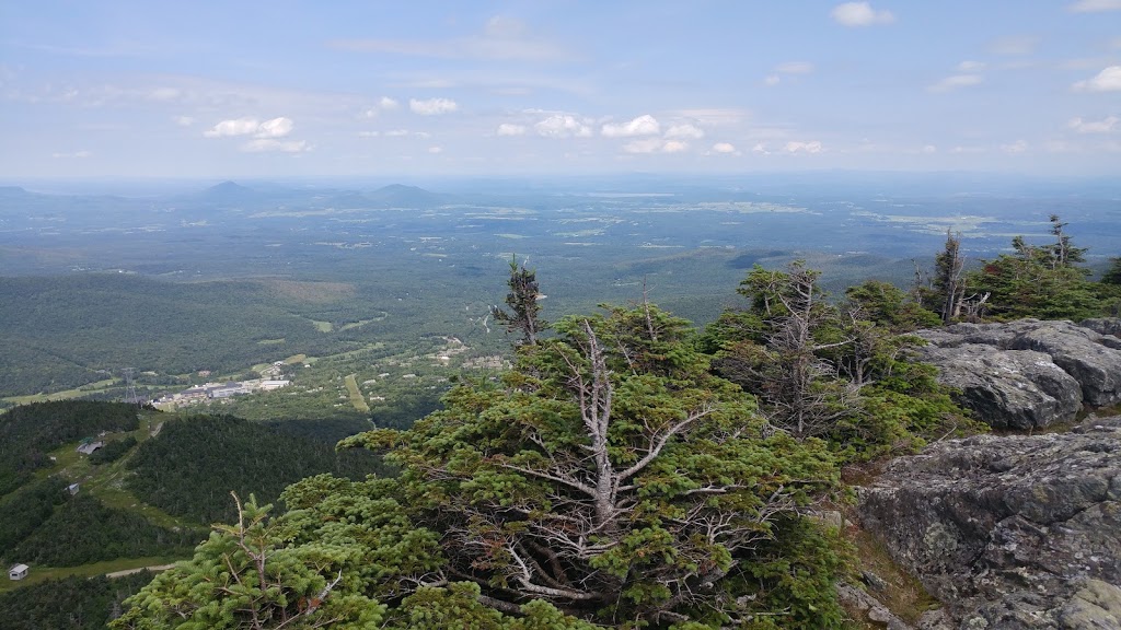 Jay State Forest | 1229 Portland St. #201, Richford, VT 05763, USA | Phone: (802) 751-0110