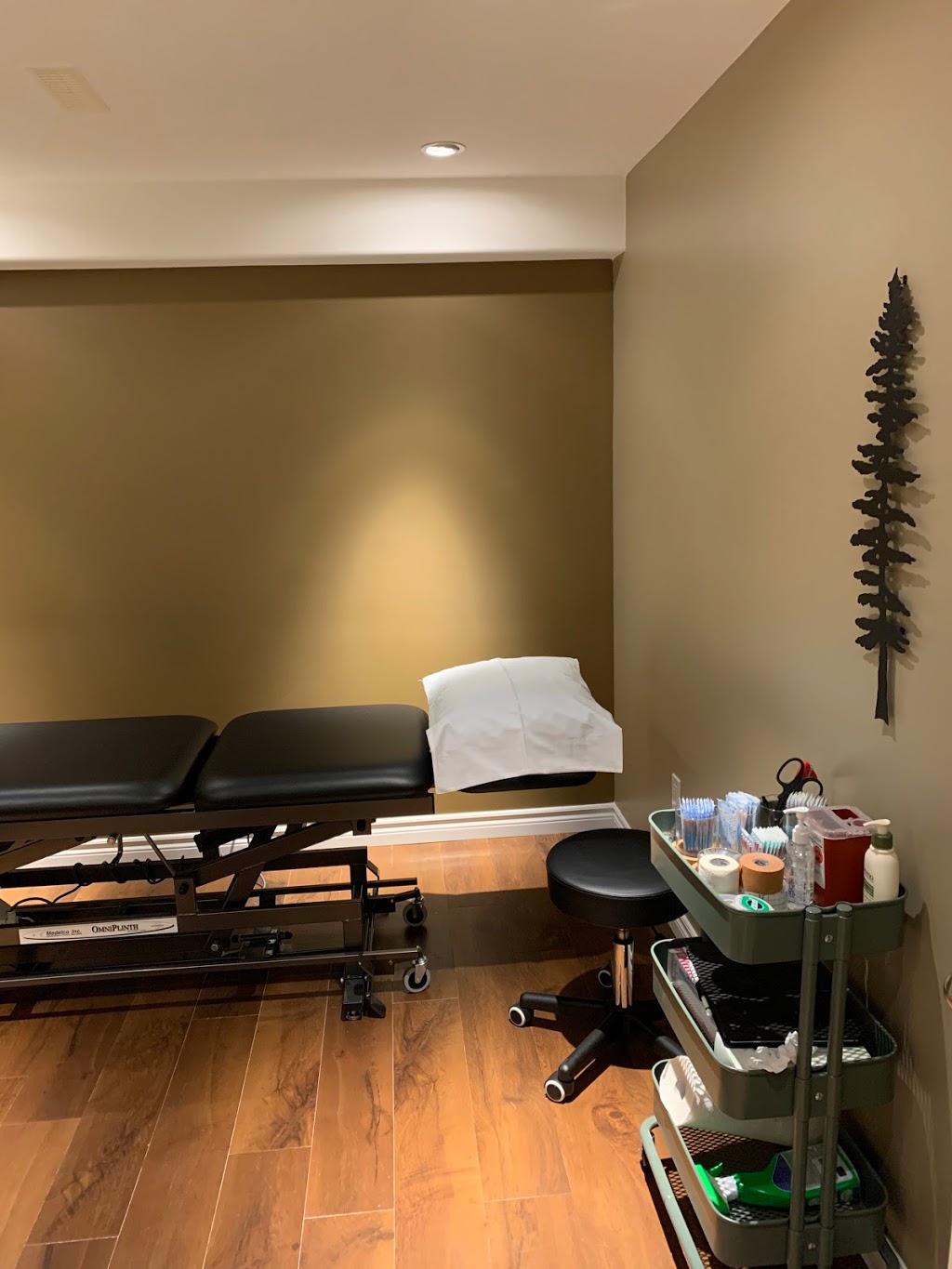 Adapt Physiotherapy | 272 Sunnidale Rd, Barrie, ON L4N 5P1, Canada | Phone: (705) 999-4212