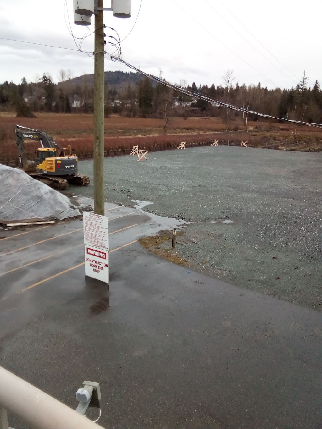 Westberry Farms | 34488 Bateman Rd, Abbotsford, BC V2S 7Y8, Canada | Phone: (604) 850-0377