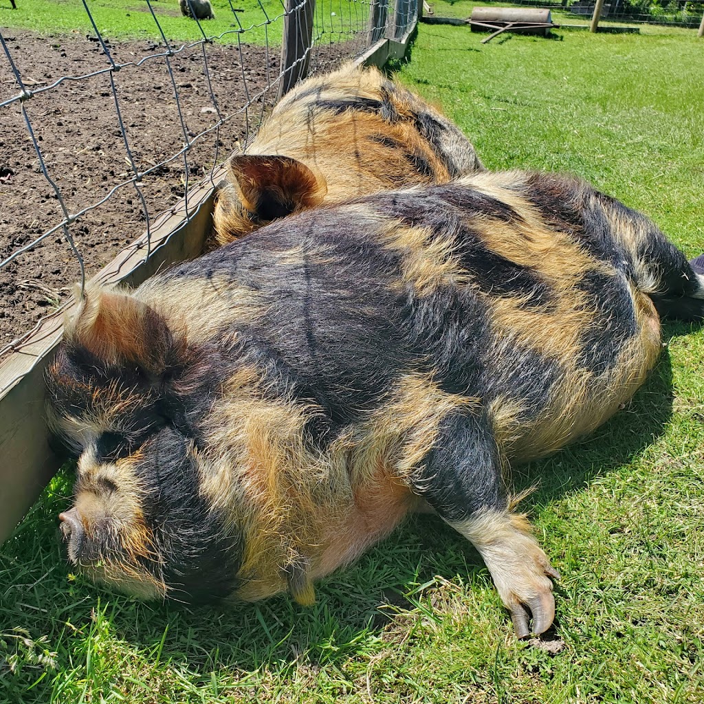 Yellow Point Farms | 4756 Yellow Point Rd, Ladysmith, BC V9G 1H2, Canada | Phone: (250) 268-1030