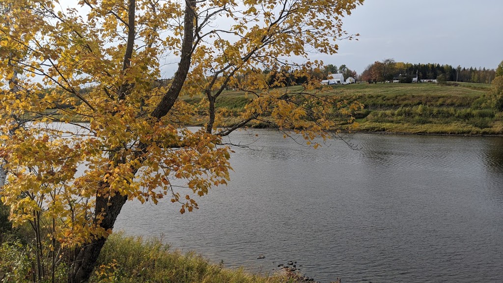 Country Haven Lodge | 601 Route #118, Gray Rapids, NB E9B 1G9, Canada | Phone: (506) 843-9010